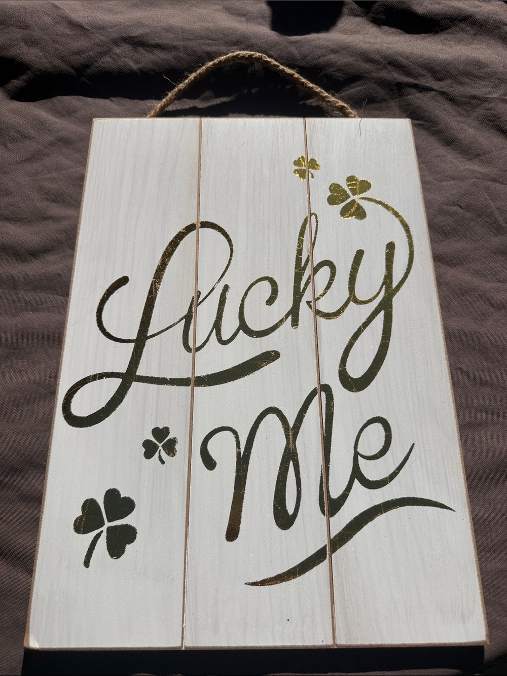 Lucky Me Hanging Plaque in Metallic Green - Rustic White Background